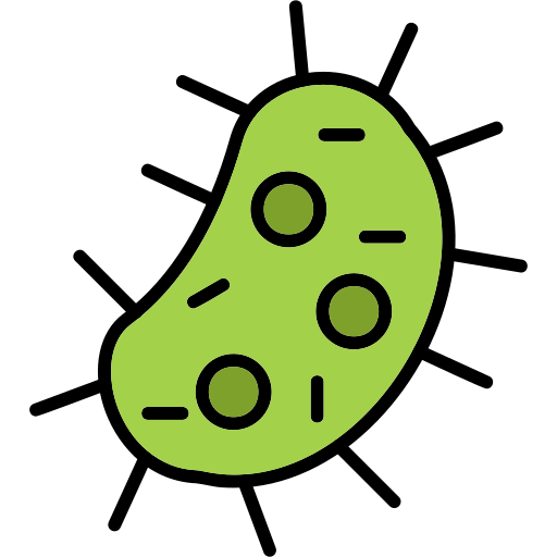 Bactérie